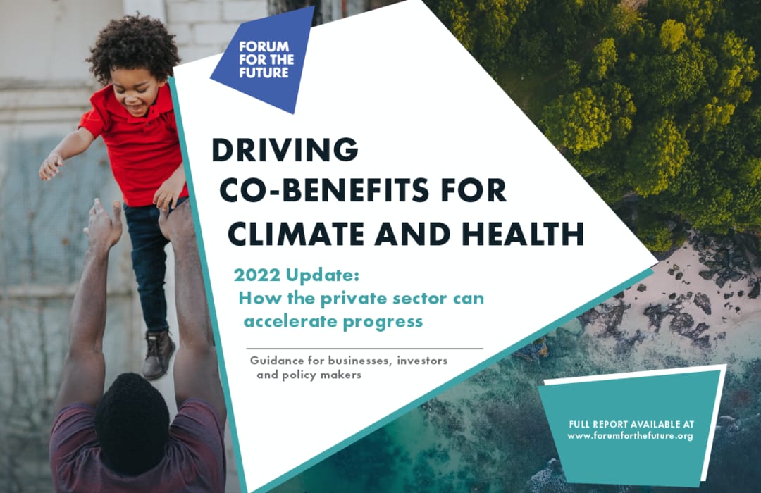 Latest guidance for the private sector on how to simultaneously tackle escalating climate and health crises